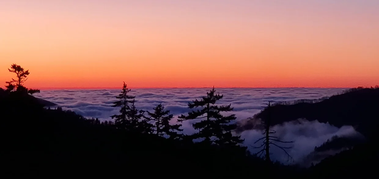 Smoky Mountain National Park