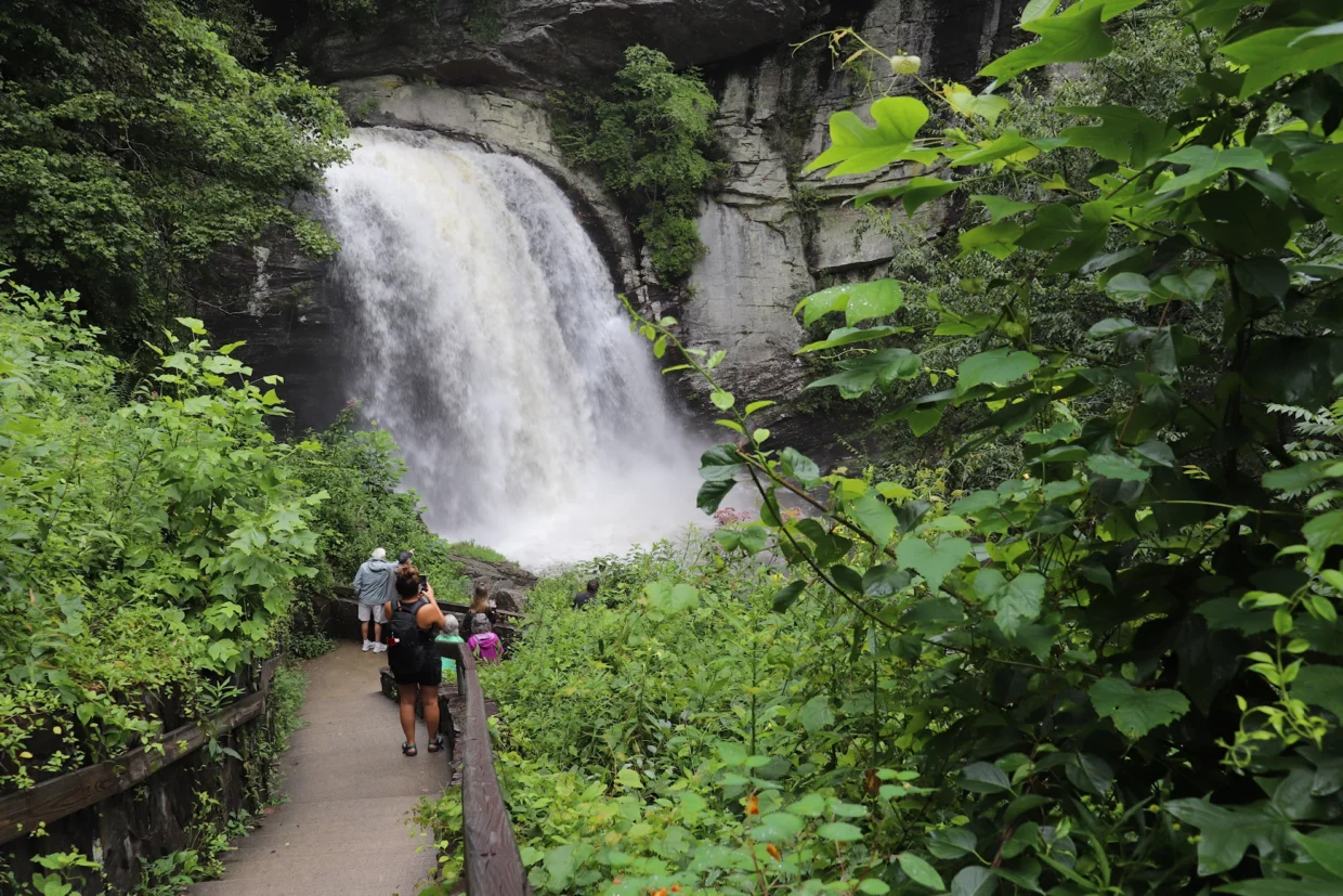 Looking Glass Falls