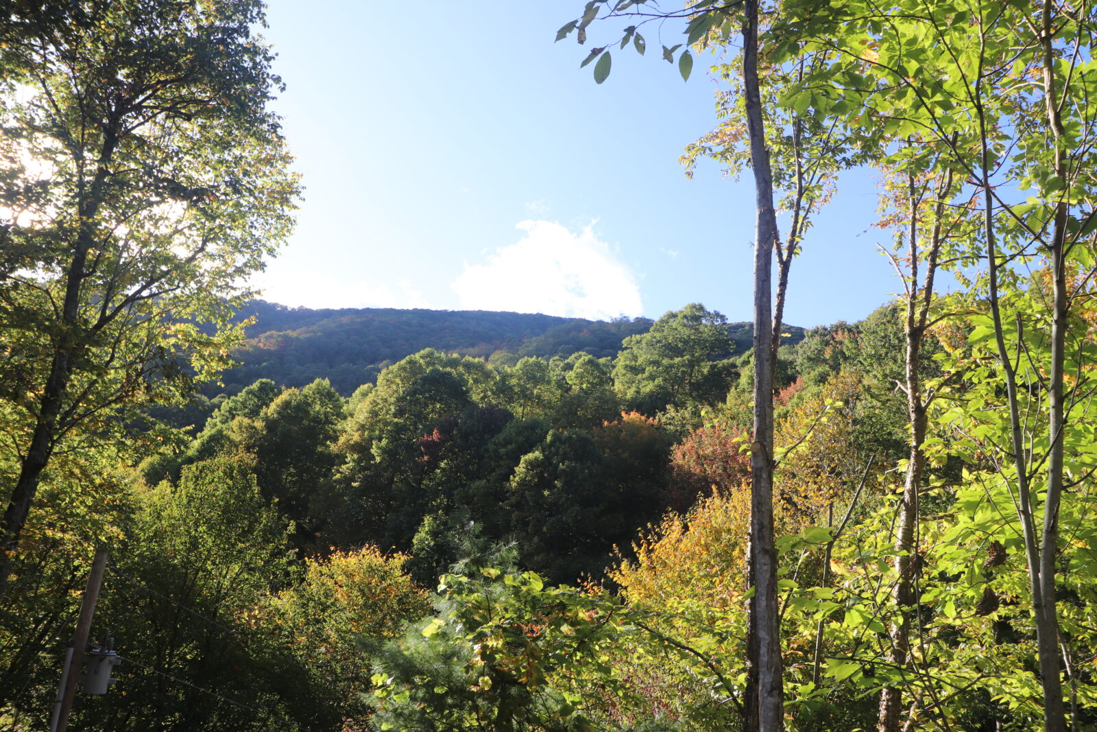 Scenic mountain view from front deck of High Hopes Cabin rental in Maggie Valley, NC